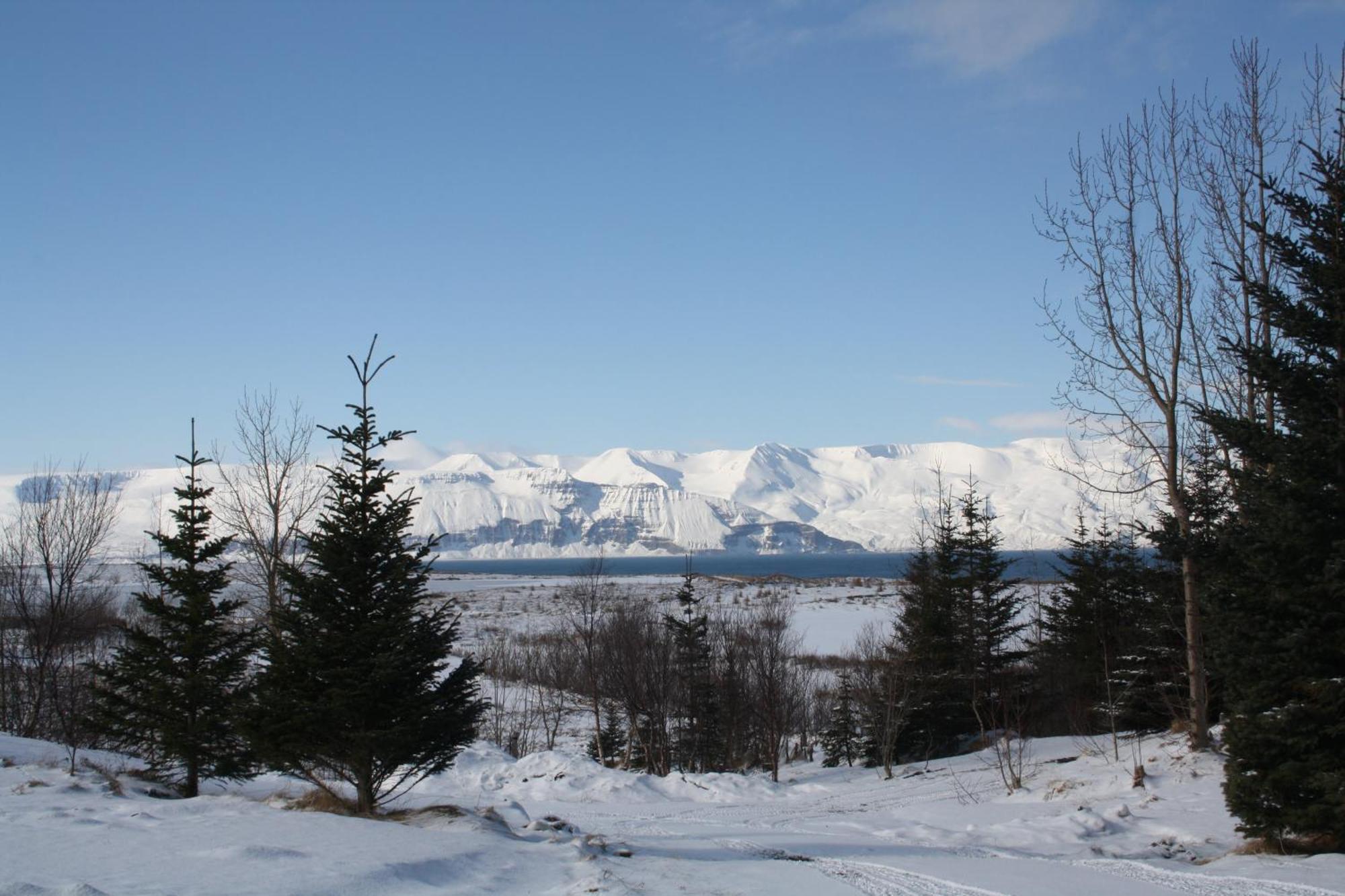 Kaldbaks-Kot Cottages Húsavík Exteriér fotografie