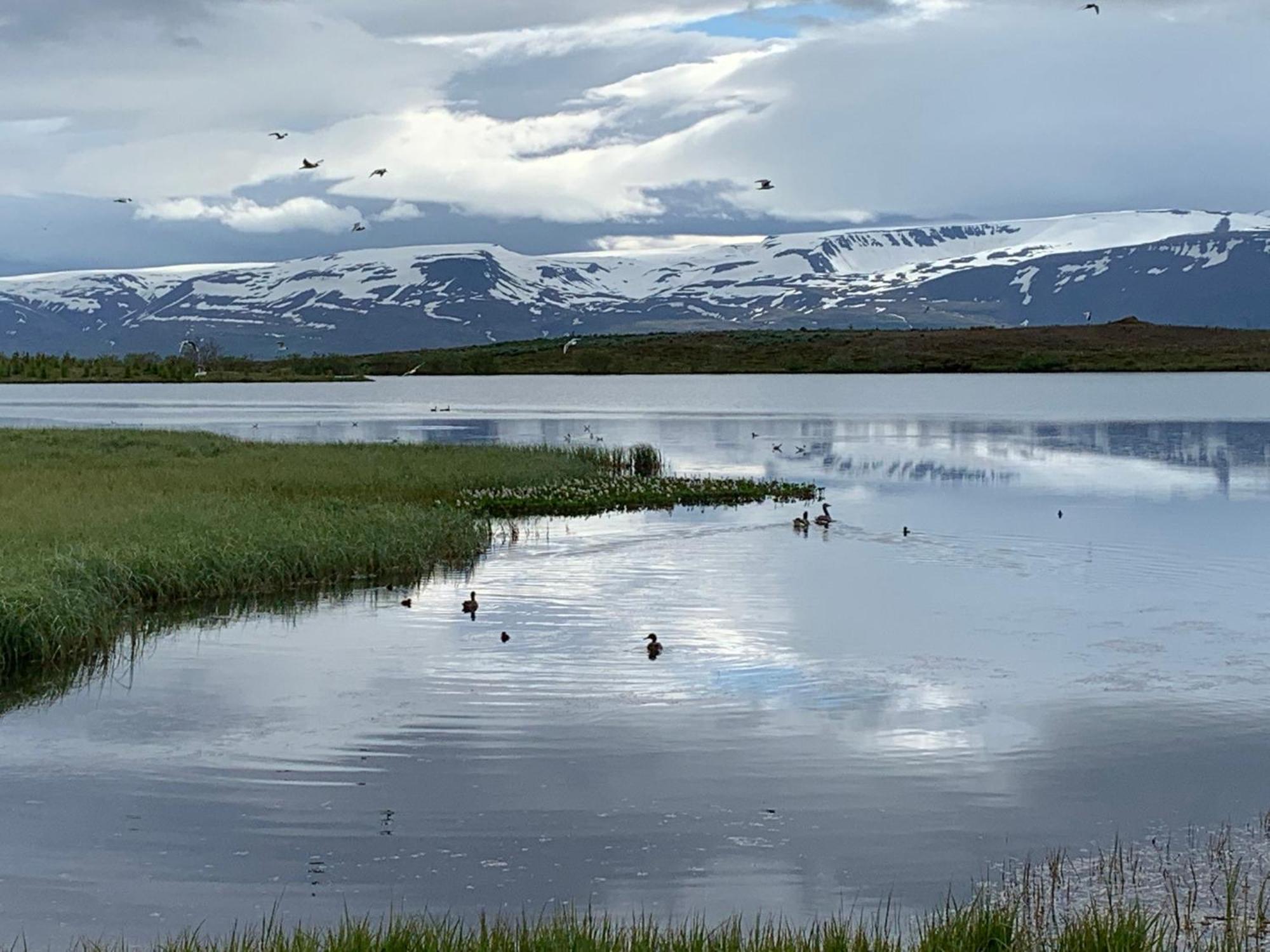 Kaldbaks-Kot Cottages Húsavík Exteriér fotografie