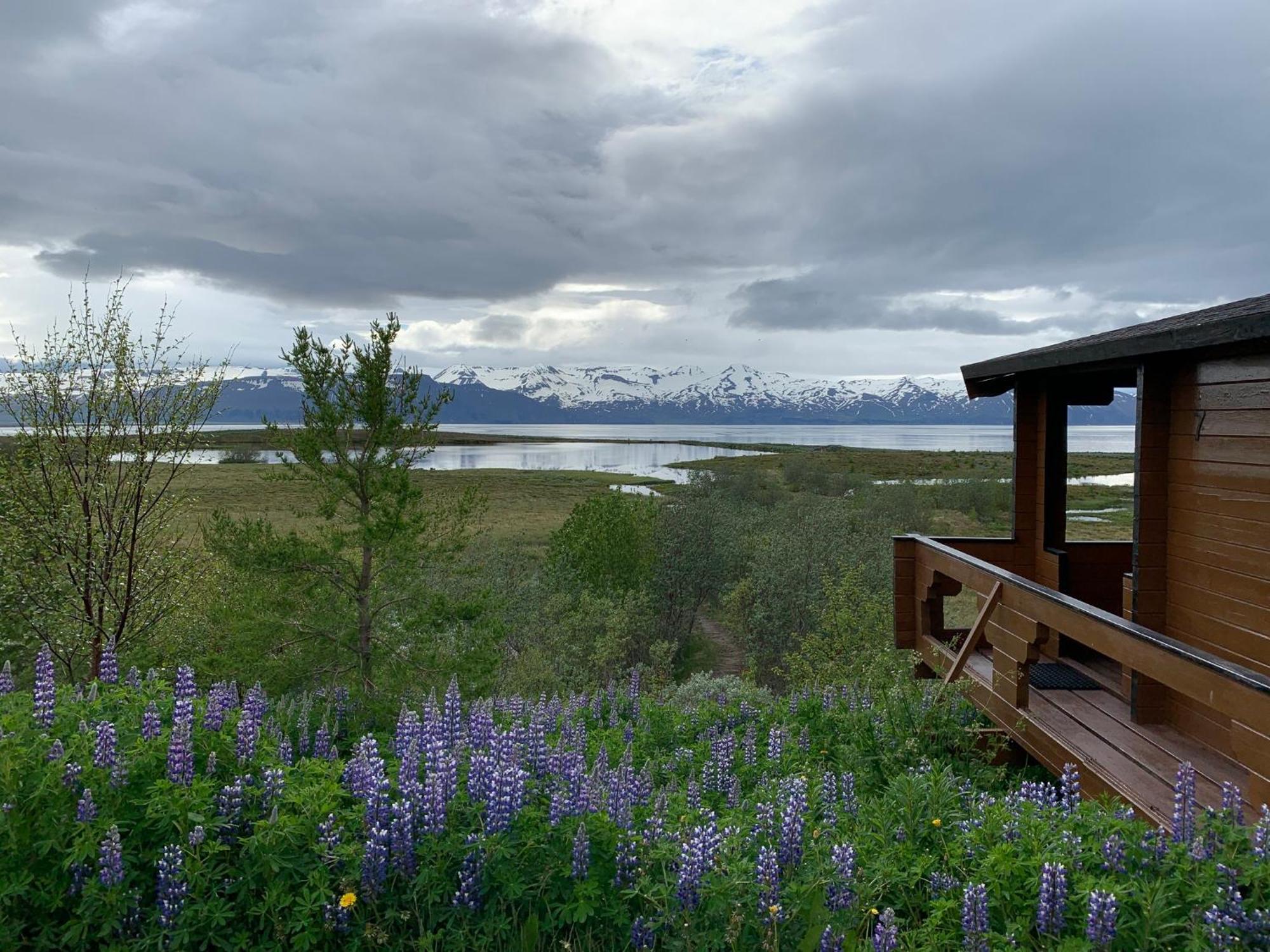 Kaldbaks-Kot Cottages Húsavík Exteriér fotografie