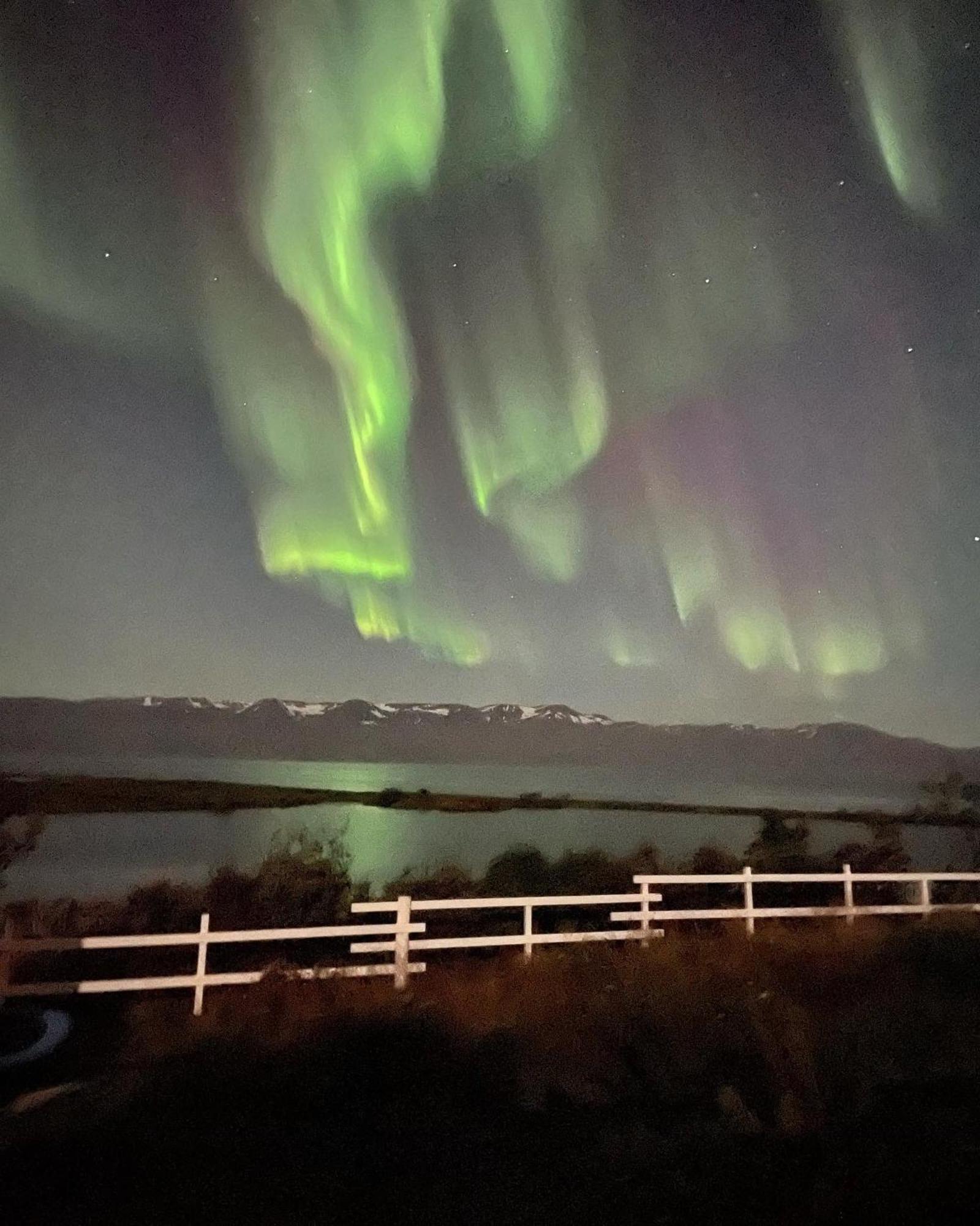 Kaldbaks-Kot Cottages Húsavík Exteriér fotografie