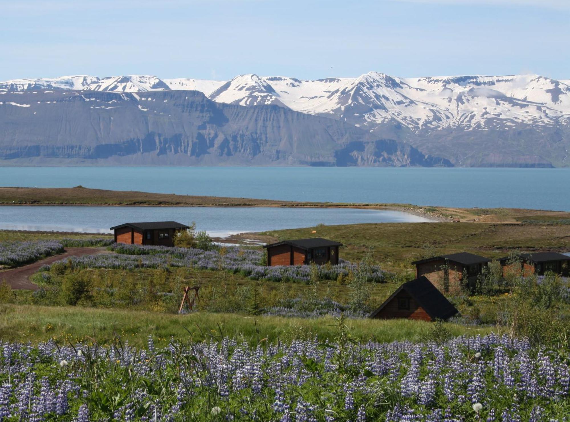 Kaldbaks-Kot Cottages Húsavík Exteriér fotografie